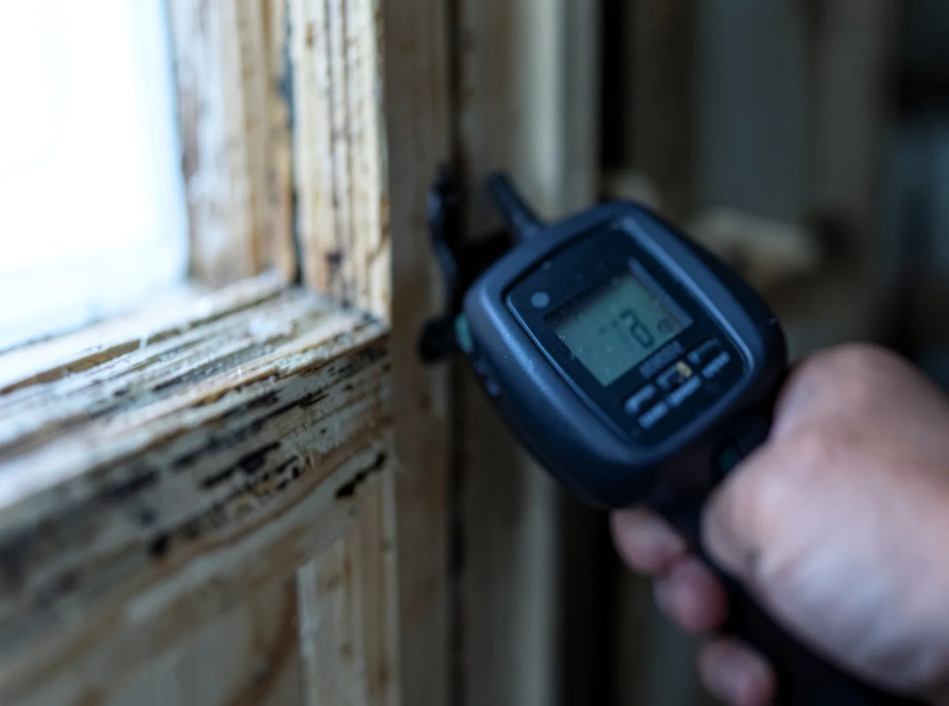 Moisture Inspection And Documentation in Bruceton, TN